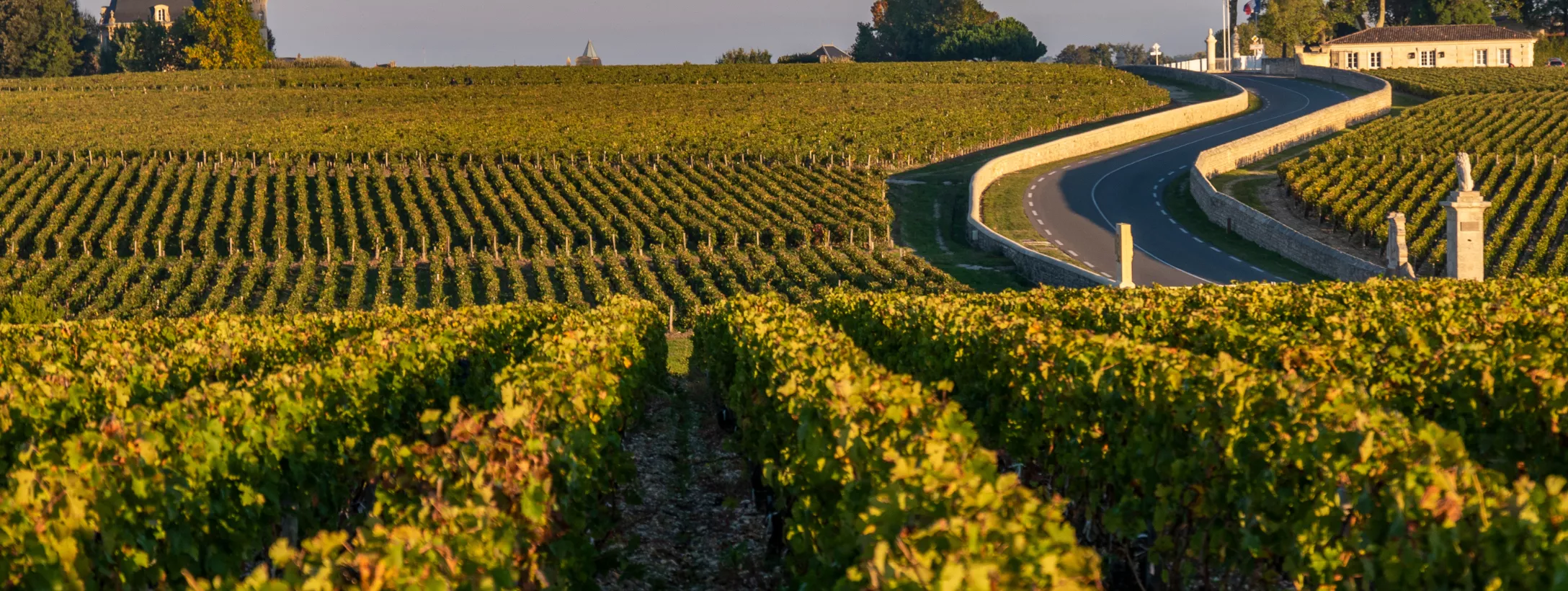 Vùng Bordeaux sản xuất Rượu Vang Hồng Bordeaux Rosé Vùng Bordeaux sản xuất Rượu Vang Hồng Bordeaux Rosé