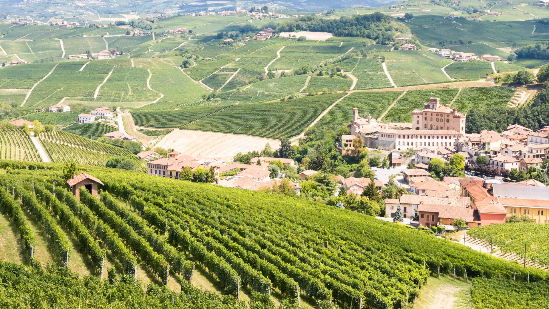 Vùng Piedmont Vùng Piedmont