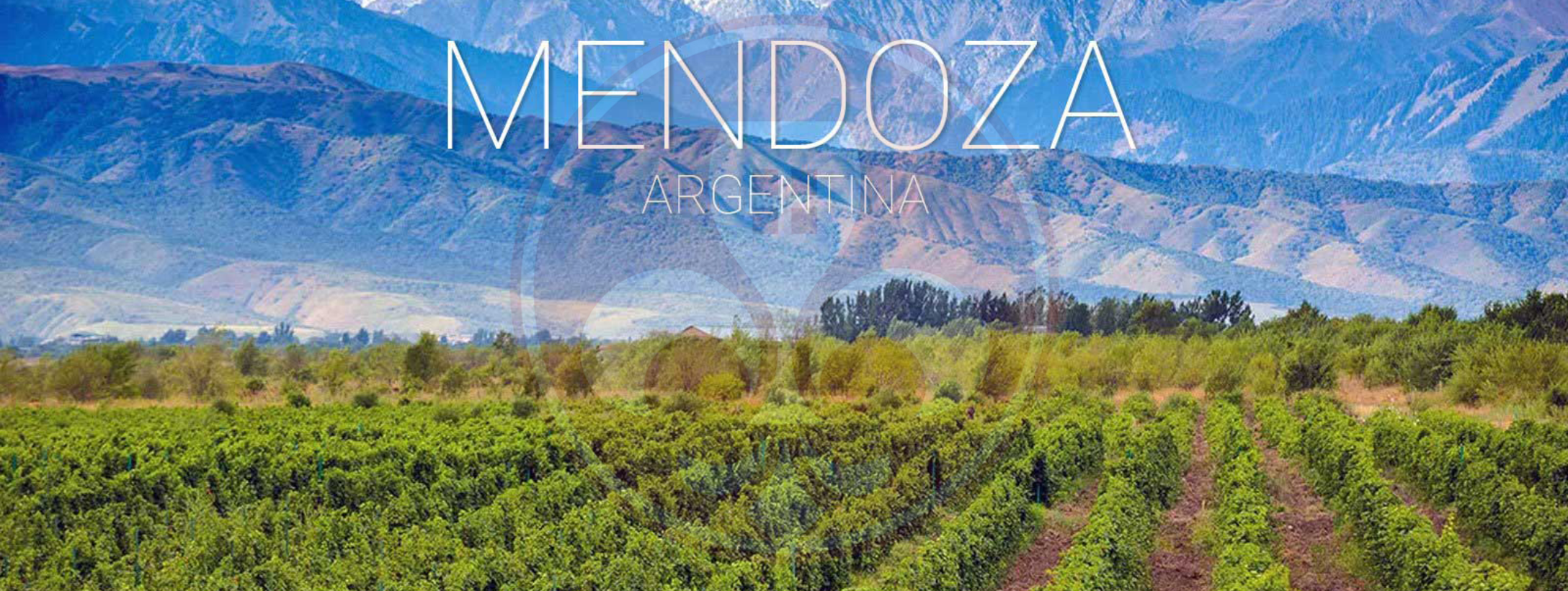 Mendoza Vùng đặc trưng sản xuất rượu vang của Argentina