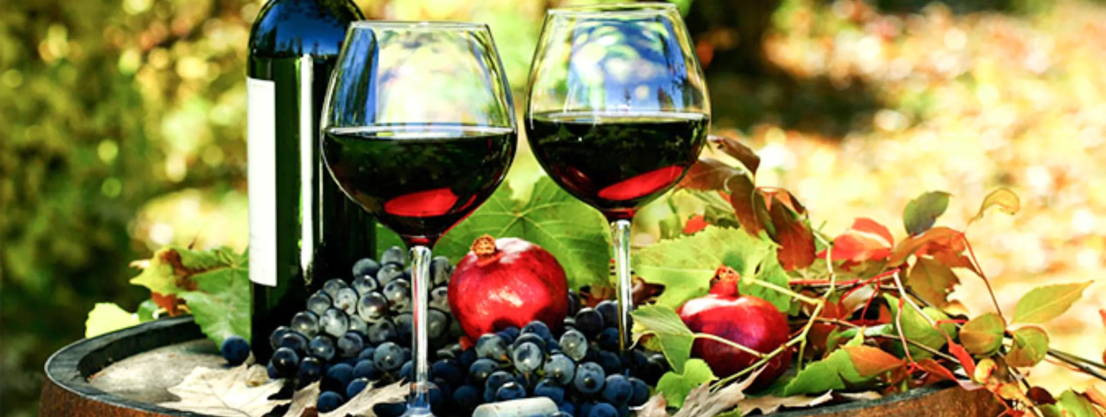 Một số giống nho phổ biến để sản xuất rượu vang New Zealand