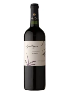 Rượu Vang Chile Apaltagua Gran Verano Carmenere