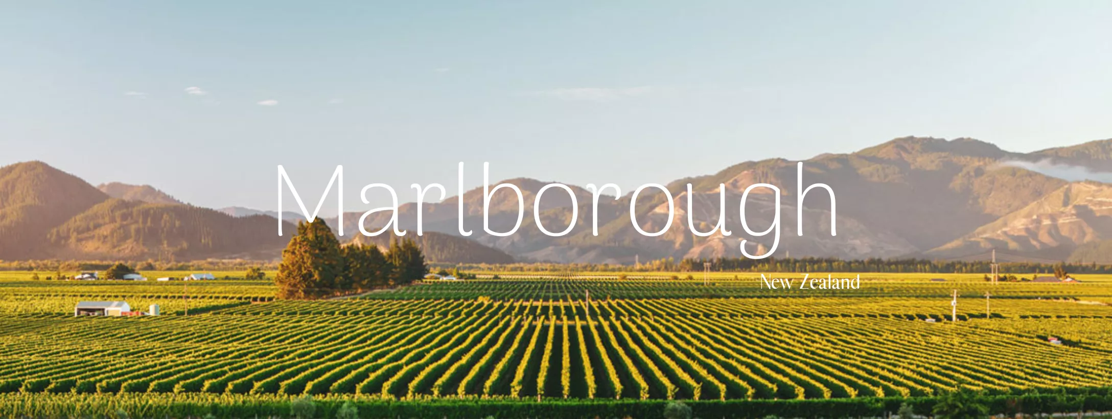 Vùng sản xuất Marlborough Vùng sản xuất Marlborough