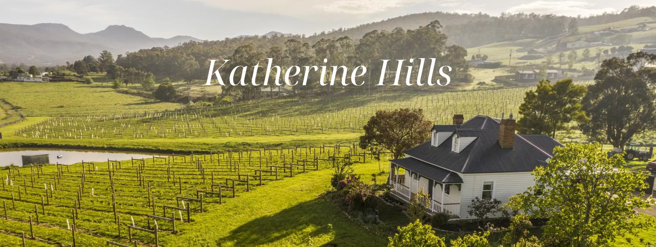 Nhà sản xuất rượu vang Katherine Hills