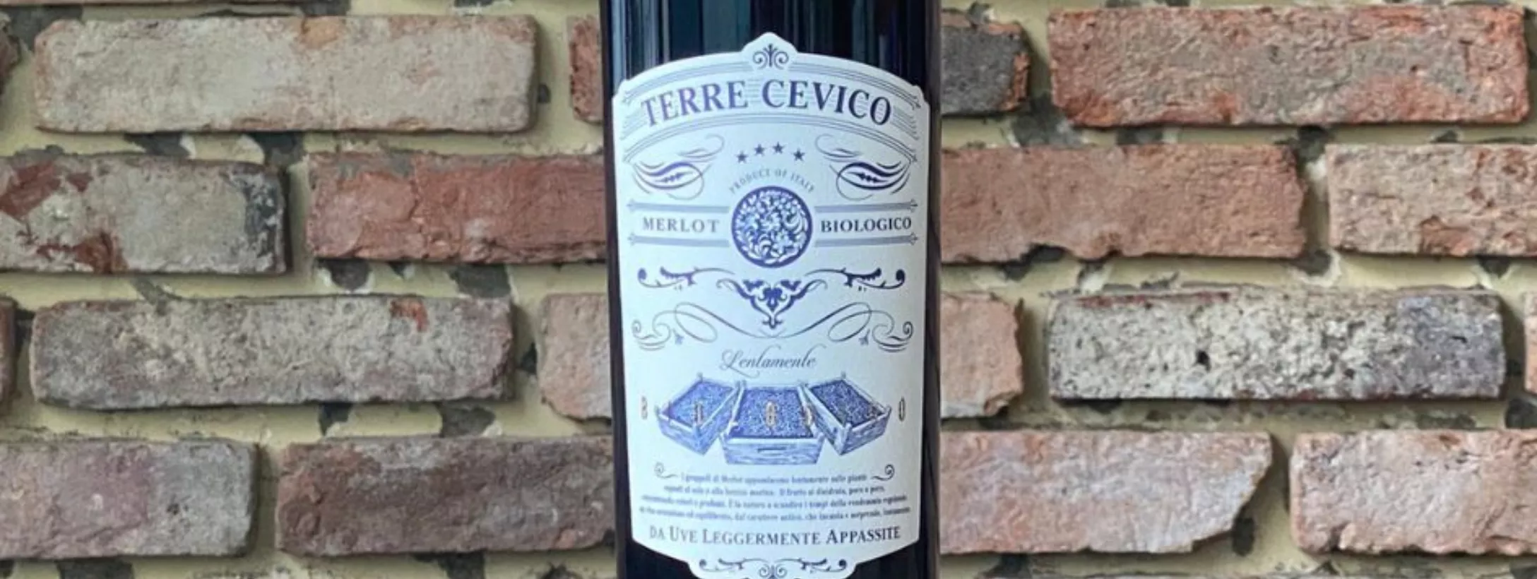 Rượu Vang Ý Terre Cevico Merlot Biologico